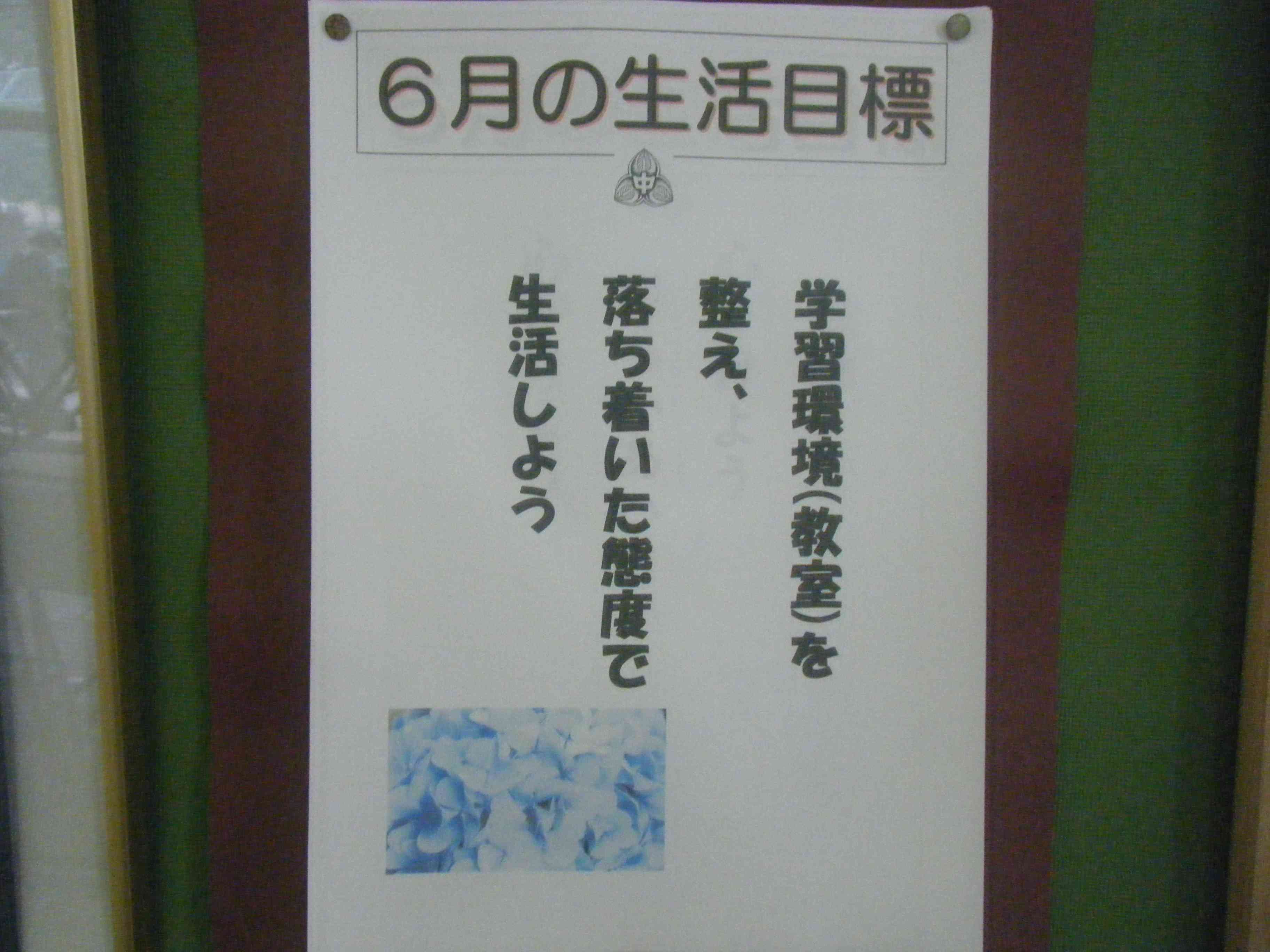 DSCF1192