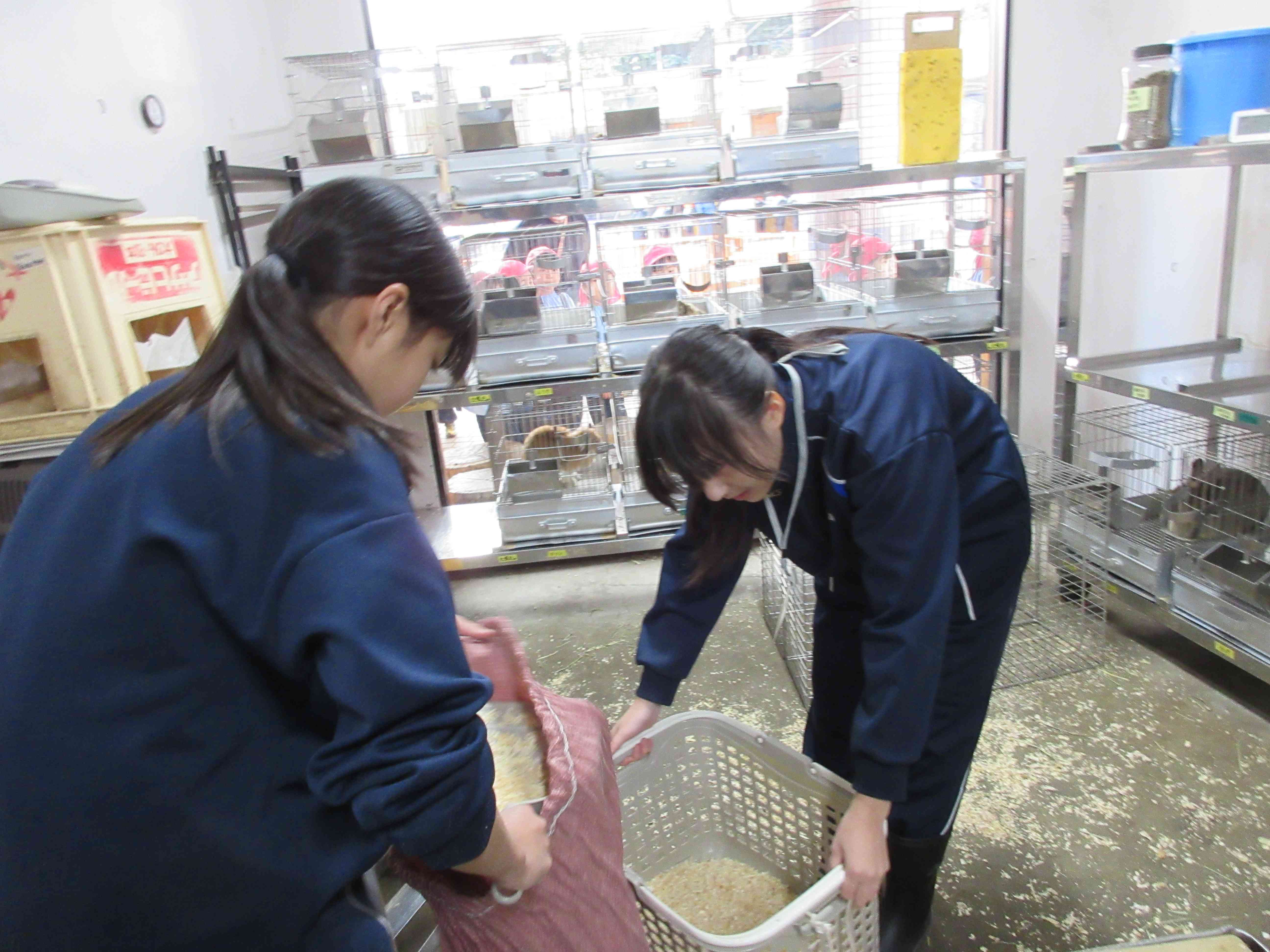 麻溝公園ふれあい動物広場１