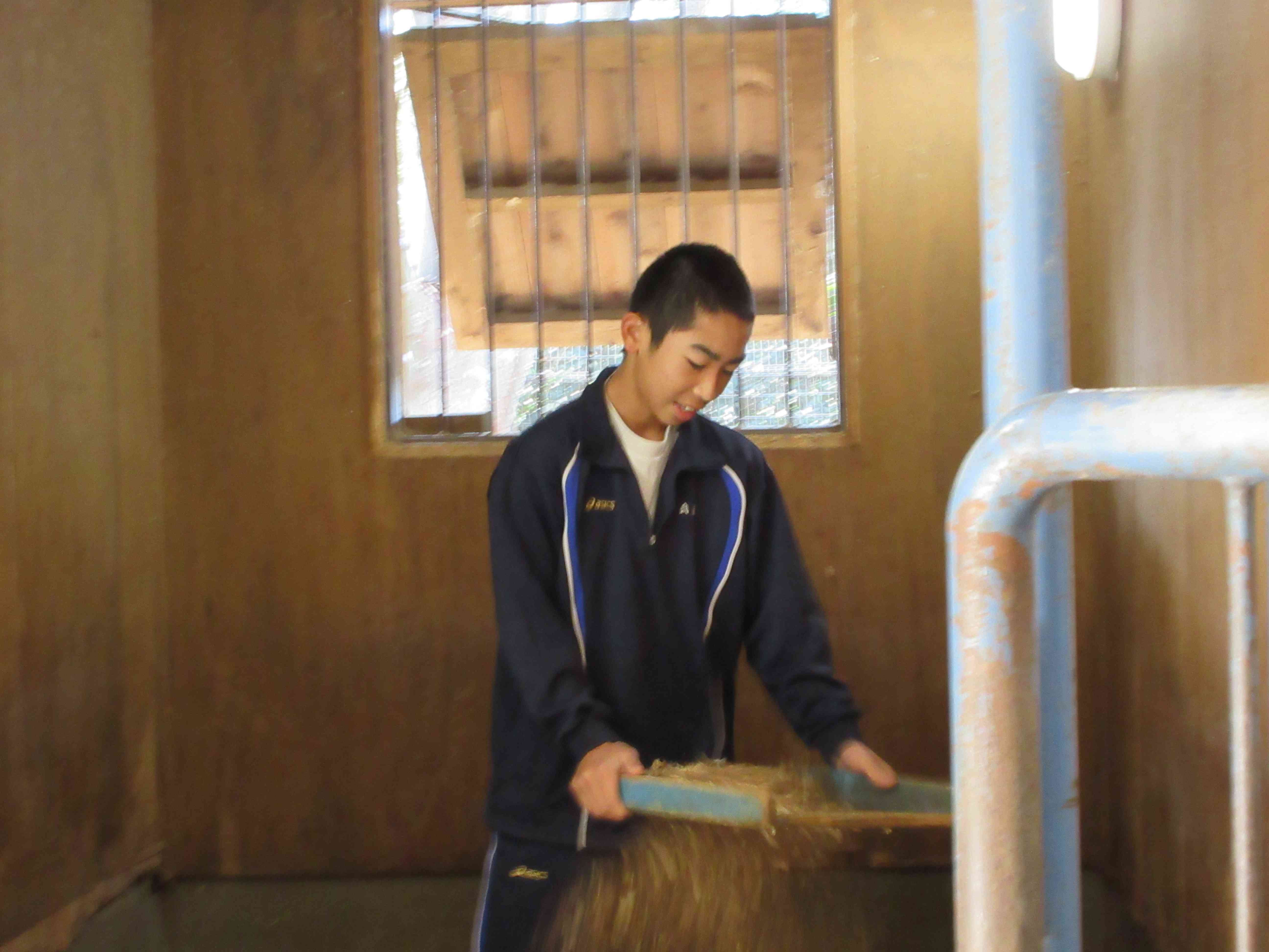 麻溝公園ふれあい動物広場２